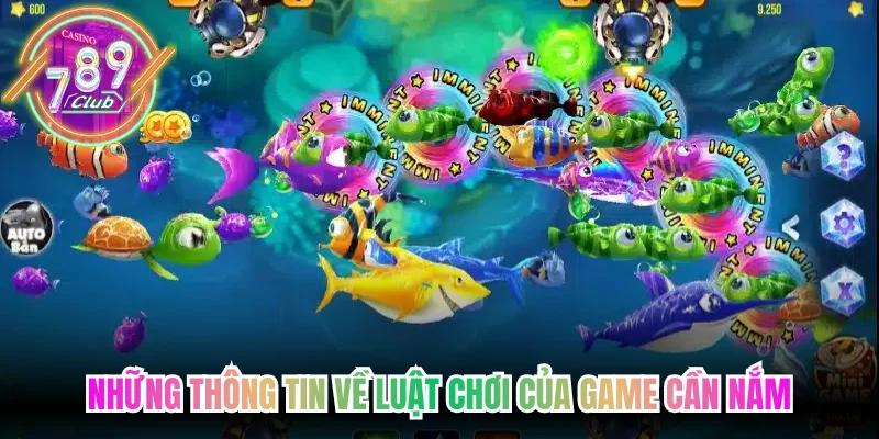 Những thông tin về luật chơi của game cần nắm