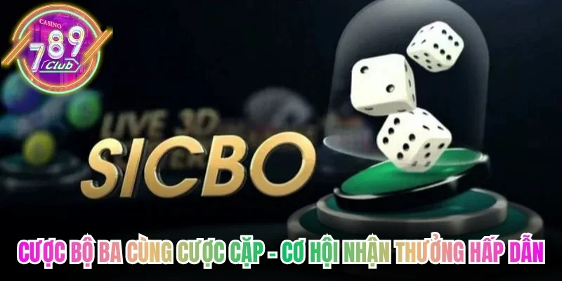 Cược bộ ba cùng cược cặp – Cơ hội nhận thưởng hấp dẫn