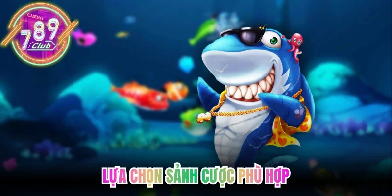 Lựa chọn sảnh cược phù hợp